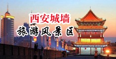 看免费看肏屄片中国陕西-西安城墙旅游风景区